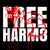 FREE HARM8 TEE